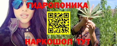 мяу мяу мука Нягань