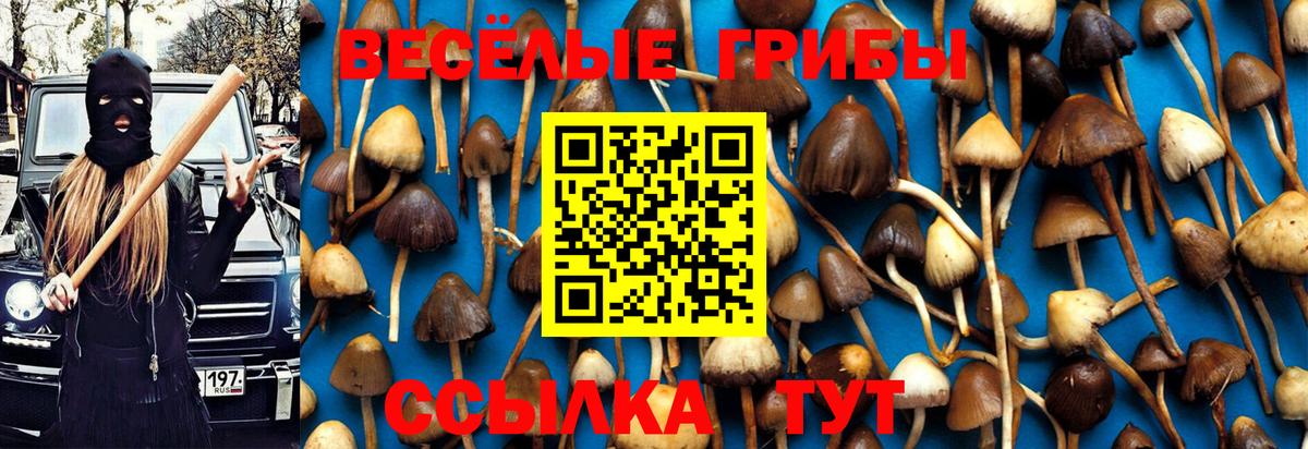 Псилоцибиновые грибы GOLDEN TEACHER Рязань