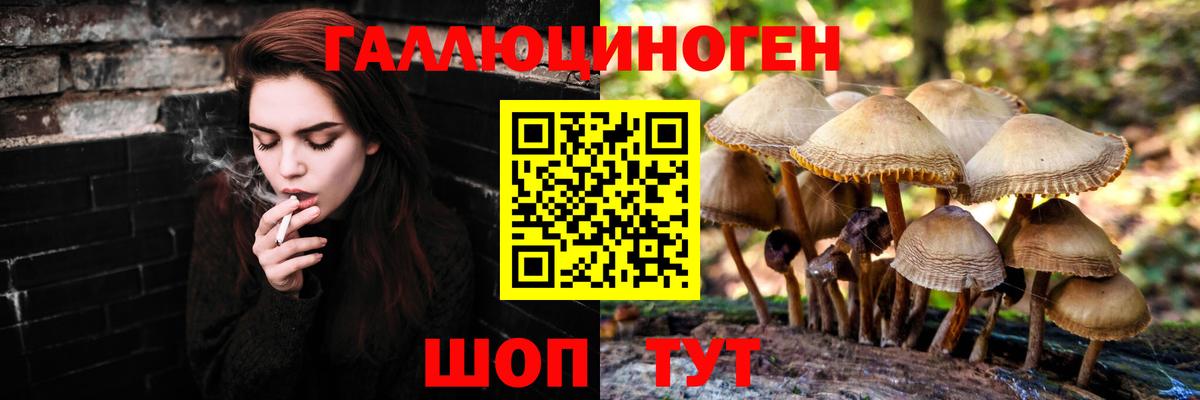Рязань  Псилоцибиновые грибы MAGIC MUSHROOMS  Псилоцибиновые грибы ЛСД  Вход с VPN 